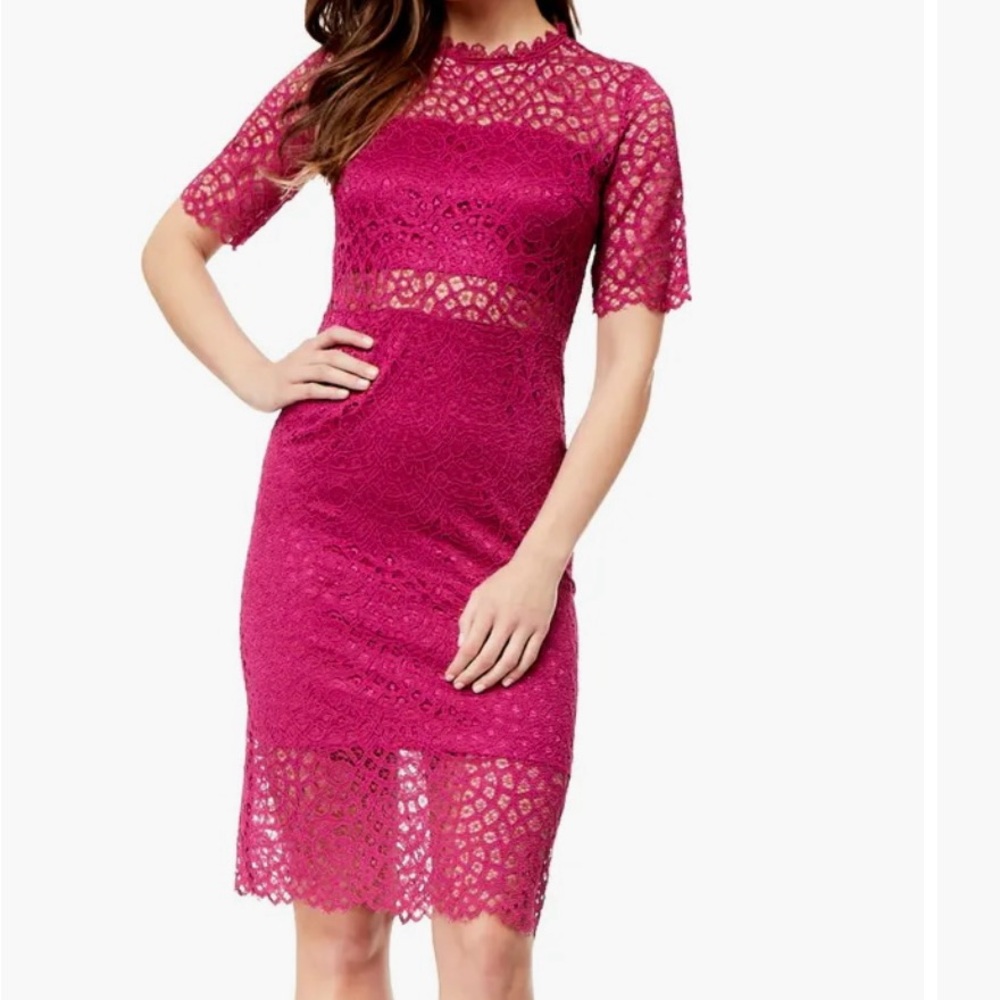 Pink Lace Sheer Panel Knee Length Dress